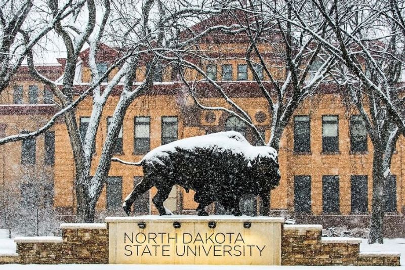 North Dakota State University