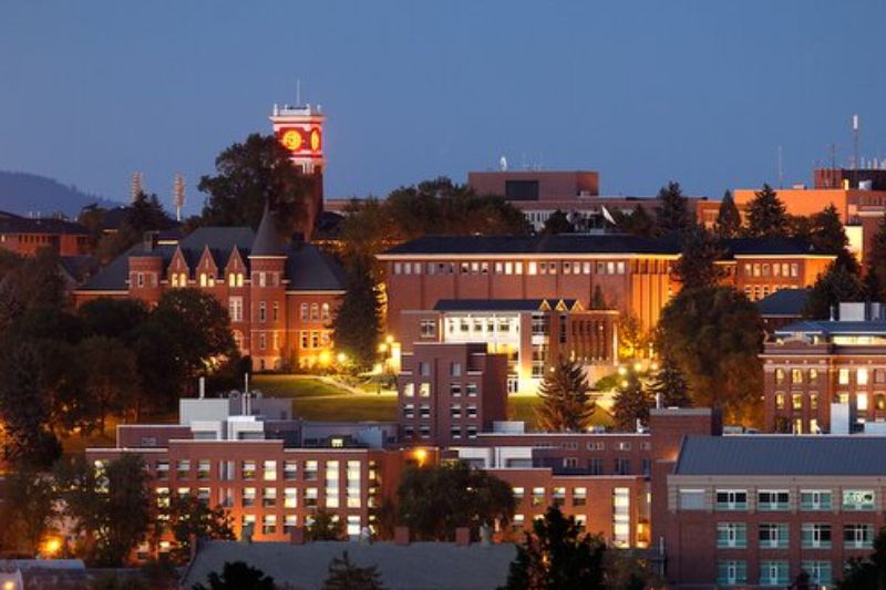 Washington State University