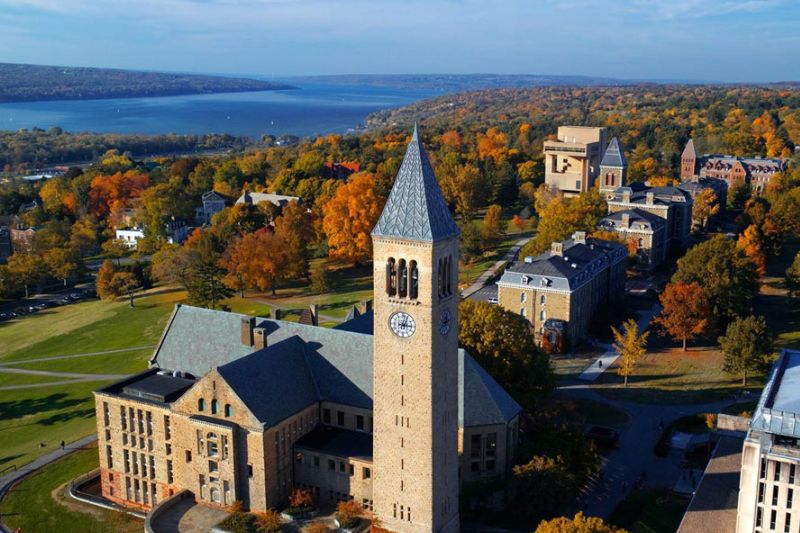 Cornell University