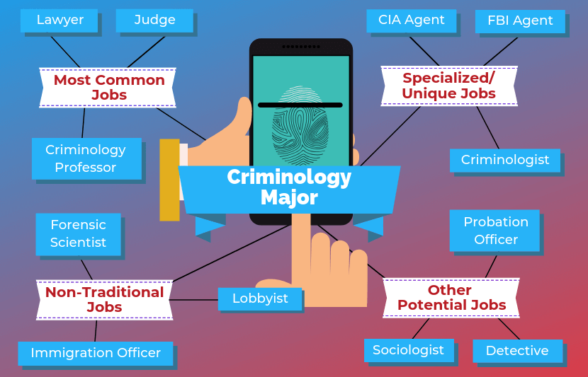12 Jobs For Criminology Majors | The University Network