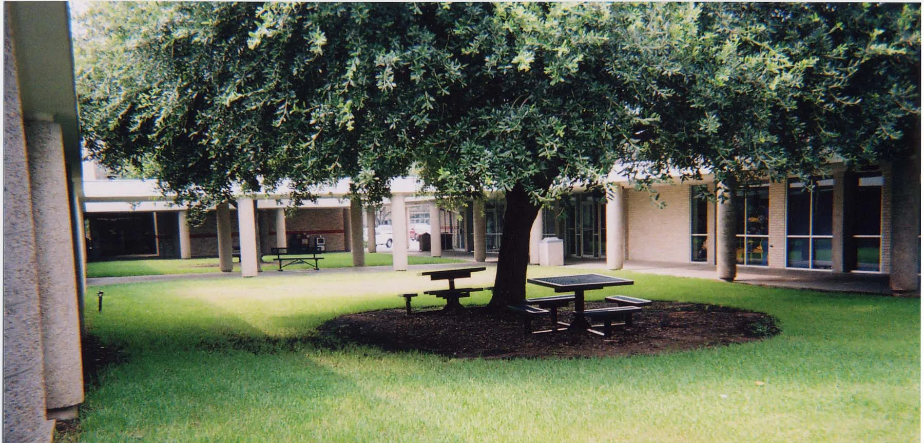 mcneese-state-university